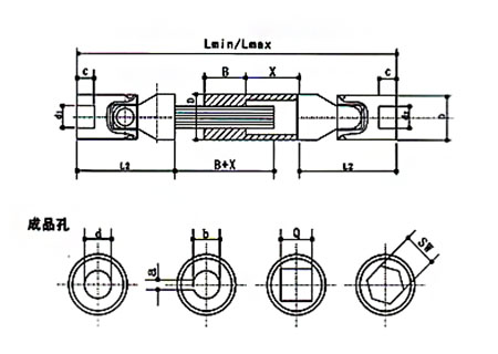 wsp-t.jpg